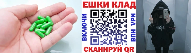 Купить Волхов ЭКСТАЗИ XTC